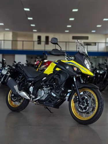 Suzuki DL 650 660 cc 
