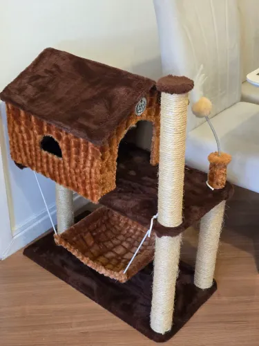 Casinha de Gato São Pet