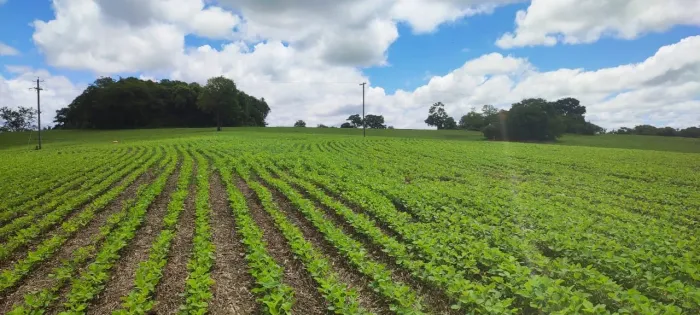 EXCELENTE SÍTIO A VENDA EM ITARARÉ - SP ?? Área Total: 24,61 Alqueires Área de Plantio: 16