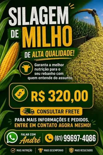 Silagem de milho