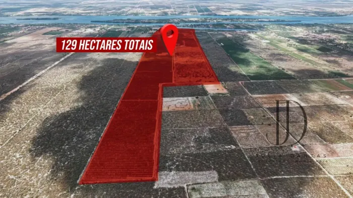 FAZENDA DE MANGA EM PETROLINA 129ha: FATURAMENTO IMEDIATO E INFRAESTRUTURA ULTRA-PREMIUM N