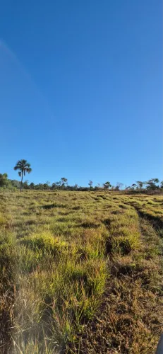 Fazenda 39 alqueires município de Mossâmedes