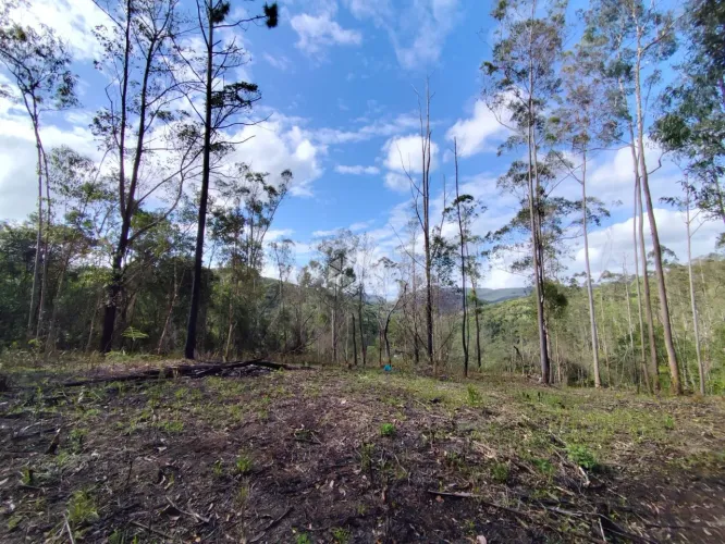 Terreno no bairro Pagará, em São José - SC