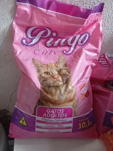 Ração para gato,vendo ou troco.