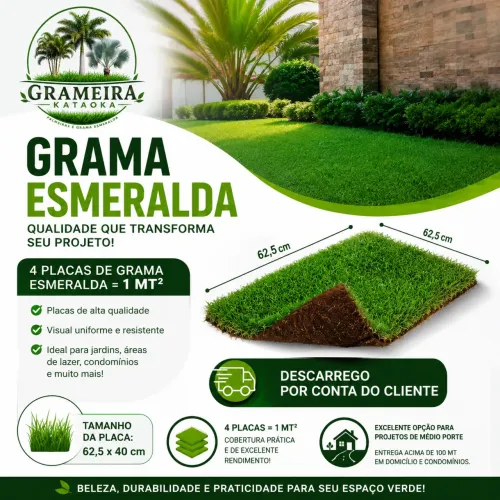 Grama esmeralda 