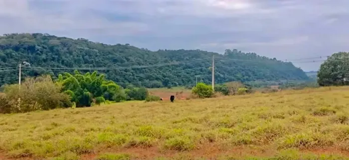 Terreno Plano em Silvianópolis