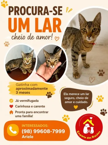 Doação
