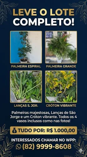 Vendo Plantas Ornamentais