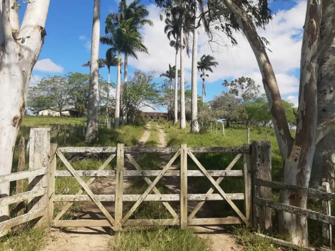 Vendo fazenda próximo à Mar Vermelho - Alagoas | 200 tarefas de extensão