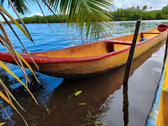 Canoa 7,50m por 80cm