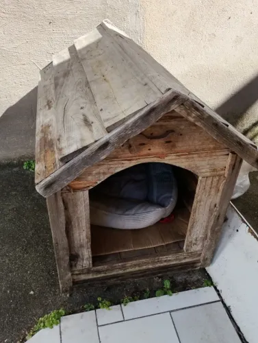 Casinha de cachorro