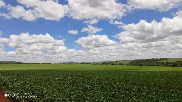 Fazenda à venda, Area rural de catalao - CATALAO/GO