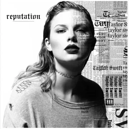 Vinil Taylor Swift Reputation Picture Disc