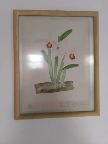 Lindo quadro  pintado a mão 