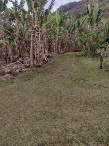 ? Sítio 8 Hectares à Venda em Luminosa-MG - Caminho da Fé