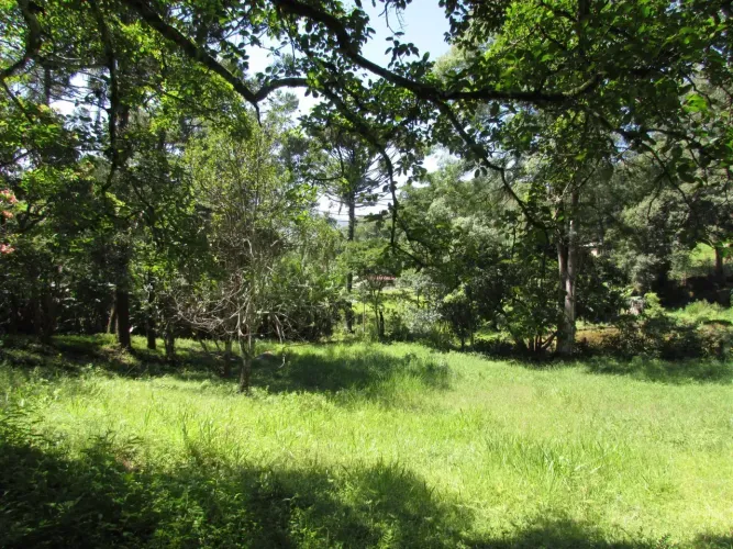 Sitio 2,8 hectares, com agua, energia, em Extrema MG a Monte Verde