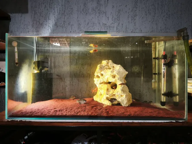 Aquário de 120L com canister e bomba