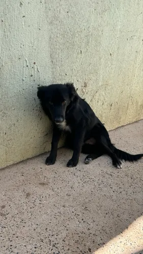 Doação