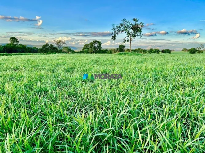 FAZENDA À VENDA - 192,60 HECTARES - CAMPINA VERDE (MG)