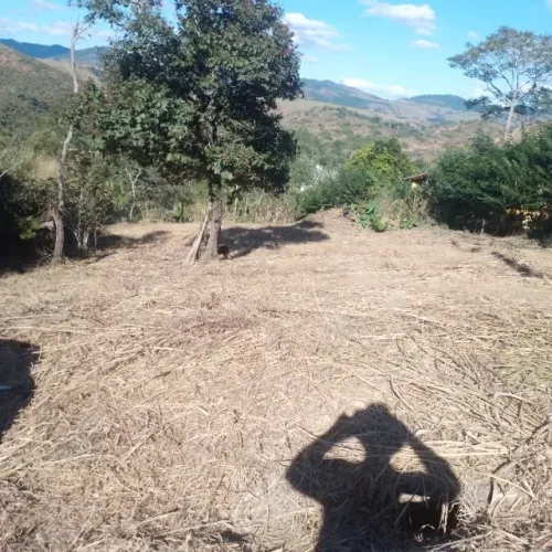 Granja Matias Barbosa-MG !!!