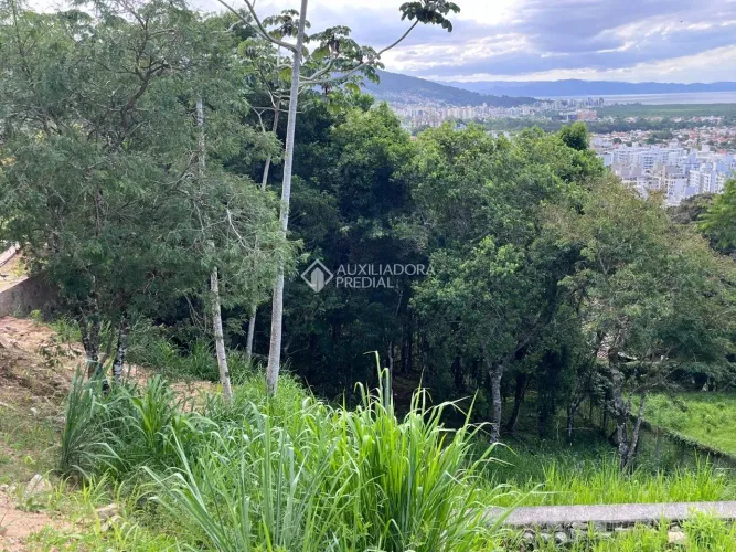 Terreno à Venda no Córrego Grande - Vista Mar e Potencial Exclusivo em Florianópolis
