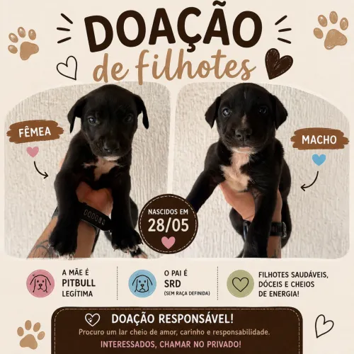 Doação responsável 