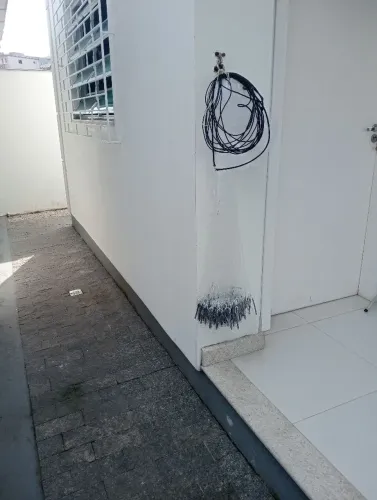 Tarrafa de tainha de argola
