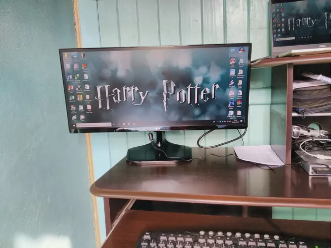 Monitor Gamer LG Ultrawide 25" (25UM58G-P)