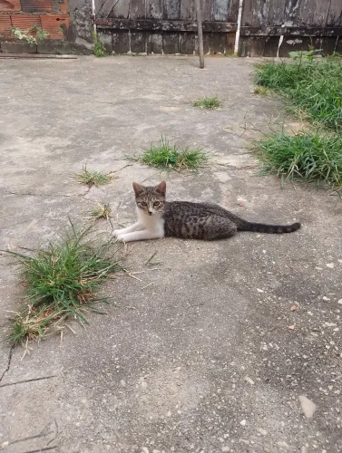 Doação