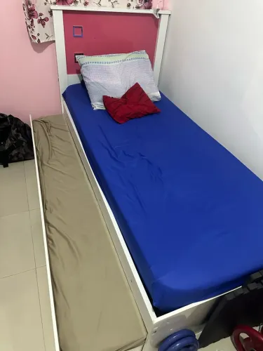 bicama solteiro