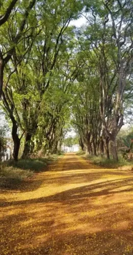 VENDE-SE LINDA CHÁCARA EM BOITUVA - SP