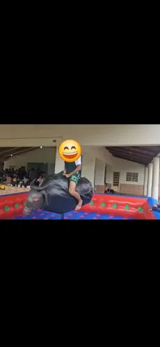 Touro Mecanico (Disponível para locacao)