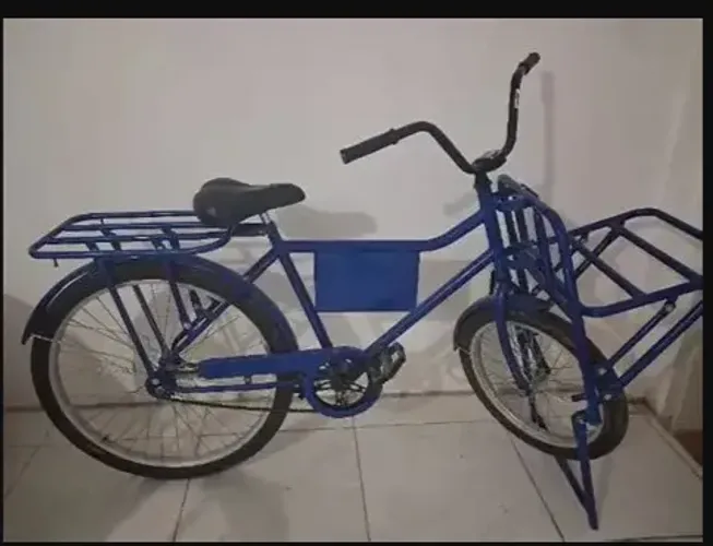 BICICLETA CARGUEIRA