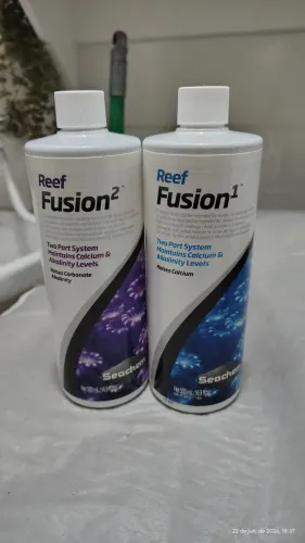 Aquário marinho, reef fusion 1 e 2 saechem