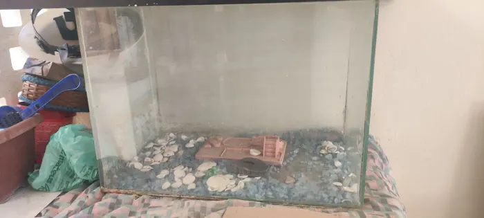 Aquário 50cm