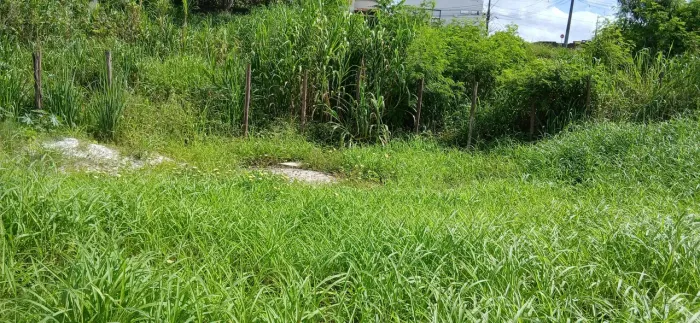 Limpeza de quintal etc.