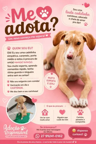 animal estimação