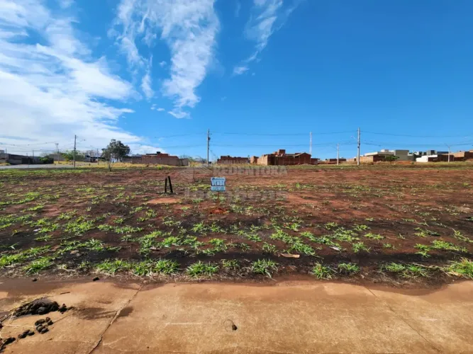Terreno Padrão em São José do Rio Preto