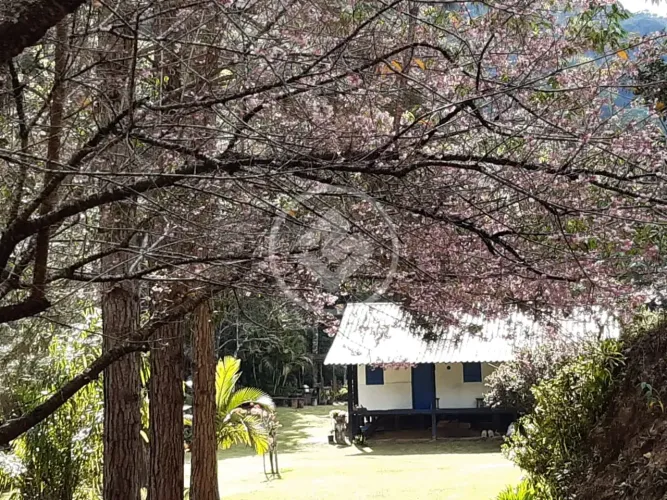 Vende-se Sítio em São Bento de Urânia, Alfredo Chaves - ES** codigo: 69317