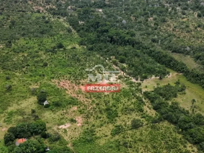 Fazenda 463 alqueires (2243 hectares ) Tesouro - MT
