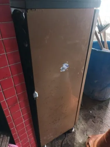 Elétrico do mestico 