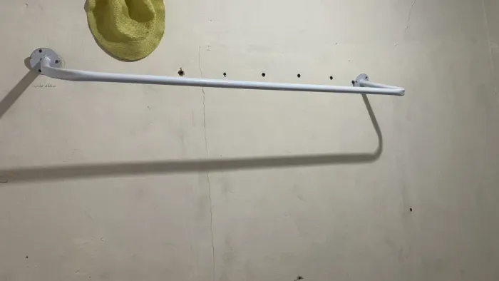 Vendo duas arara