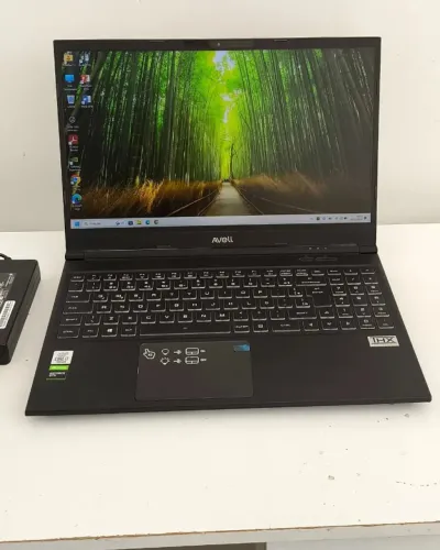Avell A62 LIV Gamer i7 10ª Geração GTX 1650 4GB 16GB RAM SSD 512GB + HD 500GB Tela 15,6" F