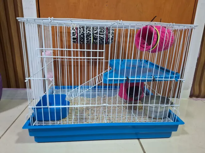 Gaiola para Porquinho da Índia e outros