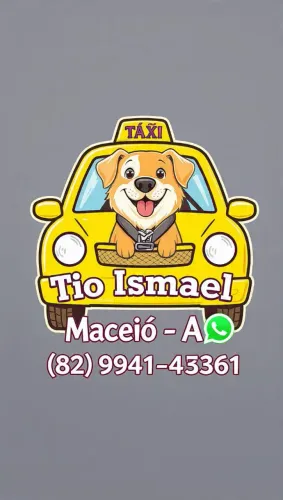 Táxi ? dog