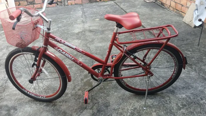 Bicicleta aro 24