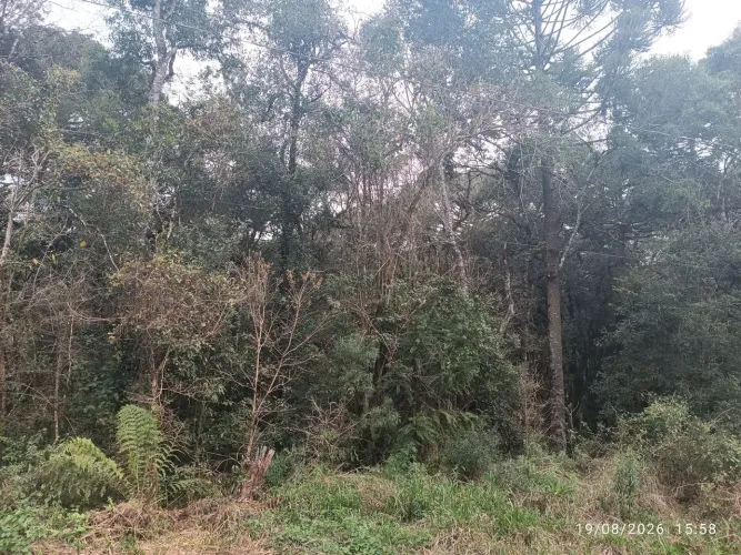 Terreno para casa de campo
