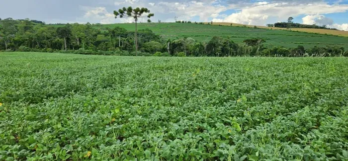 Sitio  50 alqueiro 