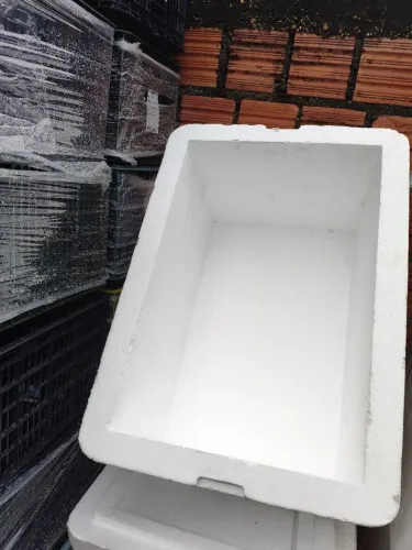 Caixas de isopor 