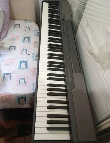 Vendo Piano Casio - Leia a Descrição 